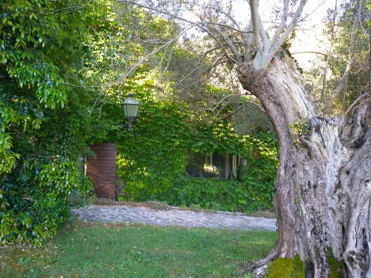 L'Agnata Di De Andre Boutique Hotel テンピオ・パウザーニア エクステリア 写真